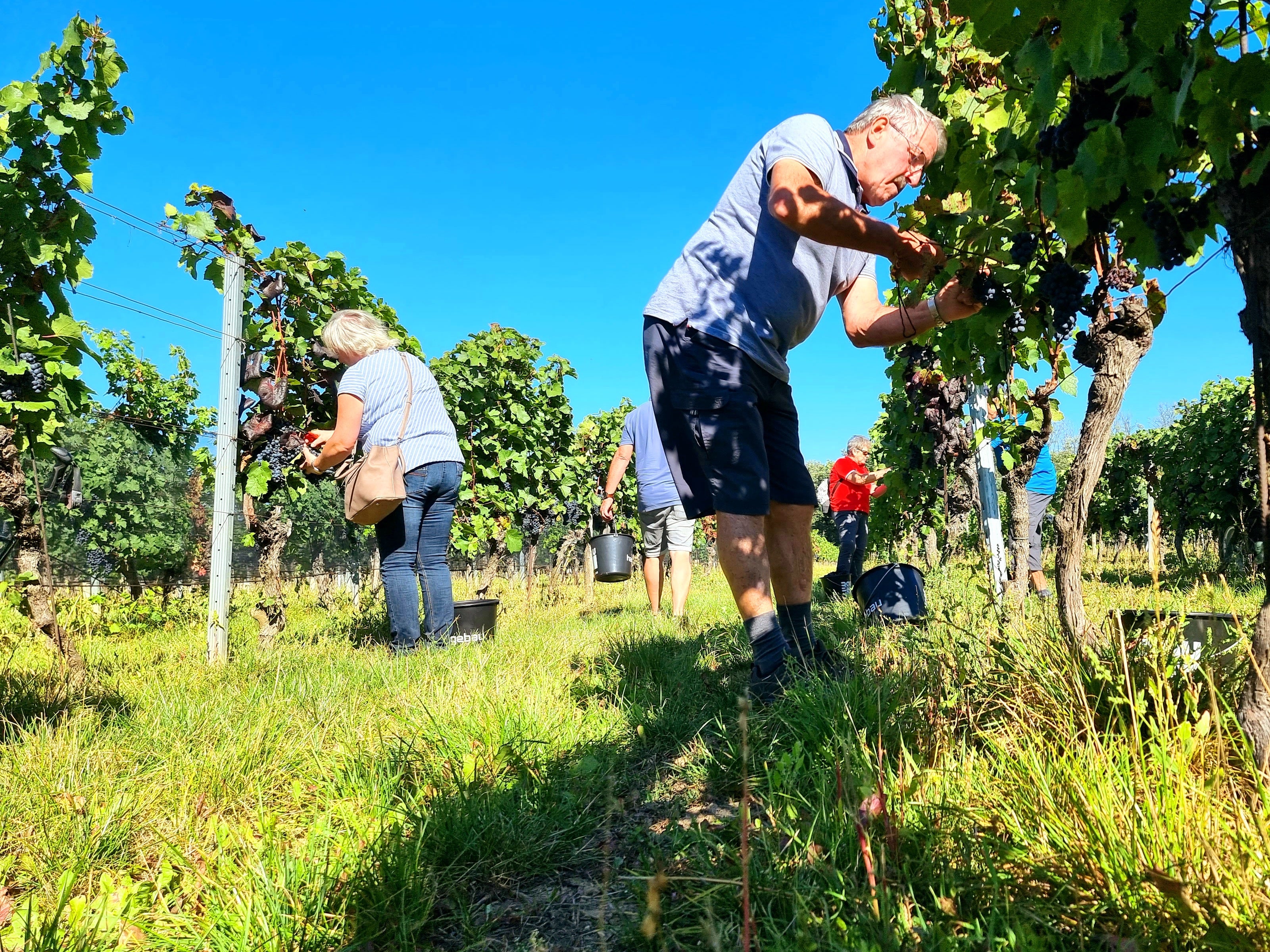 Building a strong team - unser Team-Event - Weingut Ernst