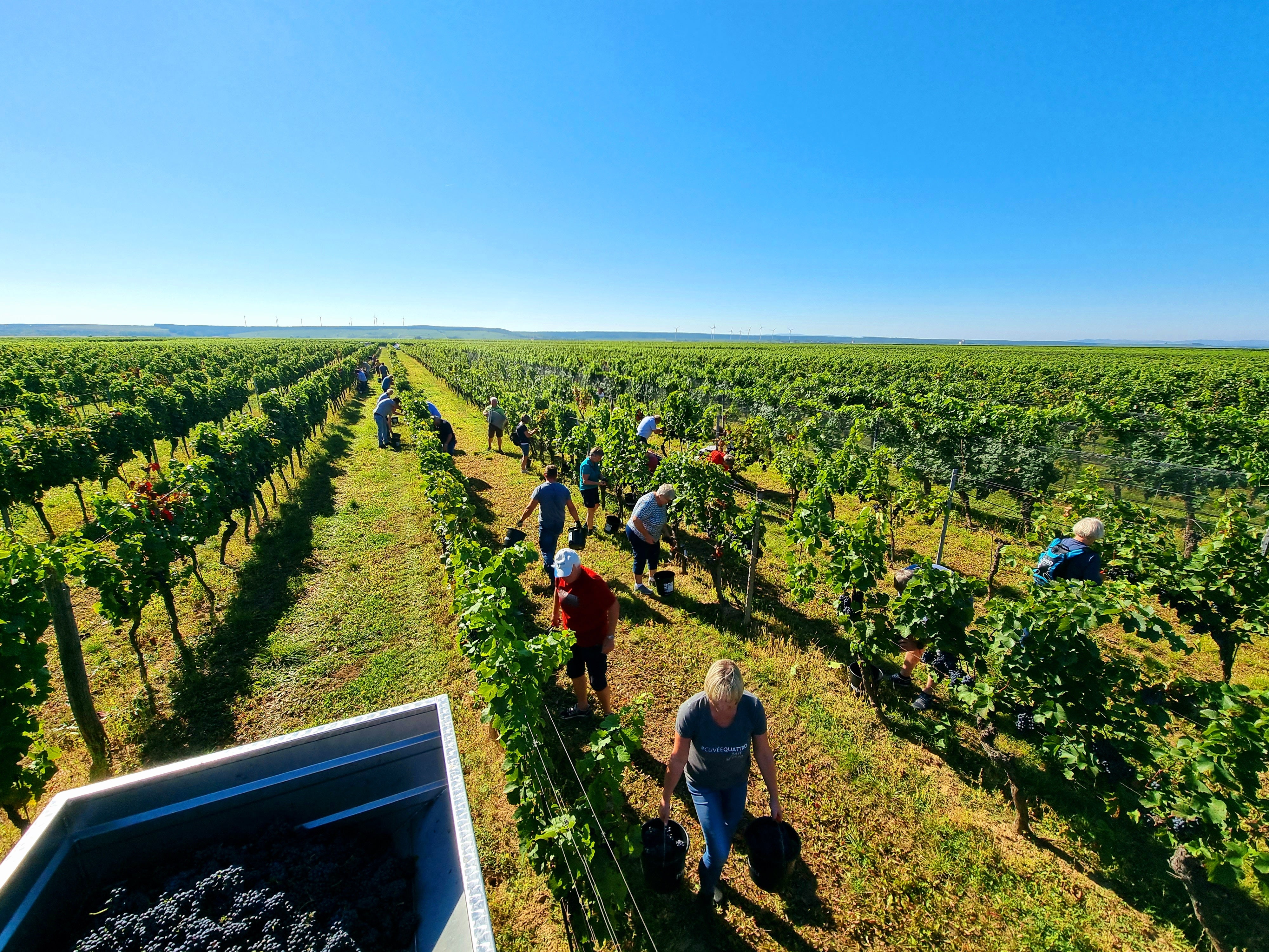 Building a strong team - unser Team-Event - Weingut Ernst