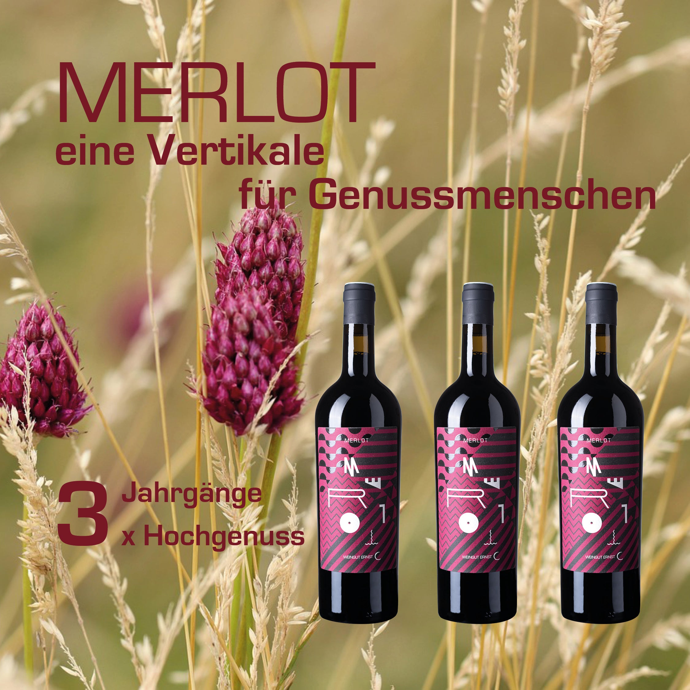 Merlot - eine Vertikale - Weingut Ernst