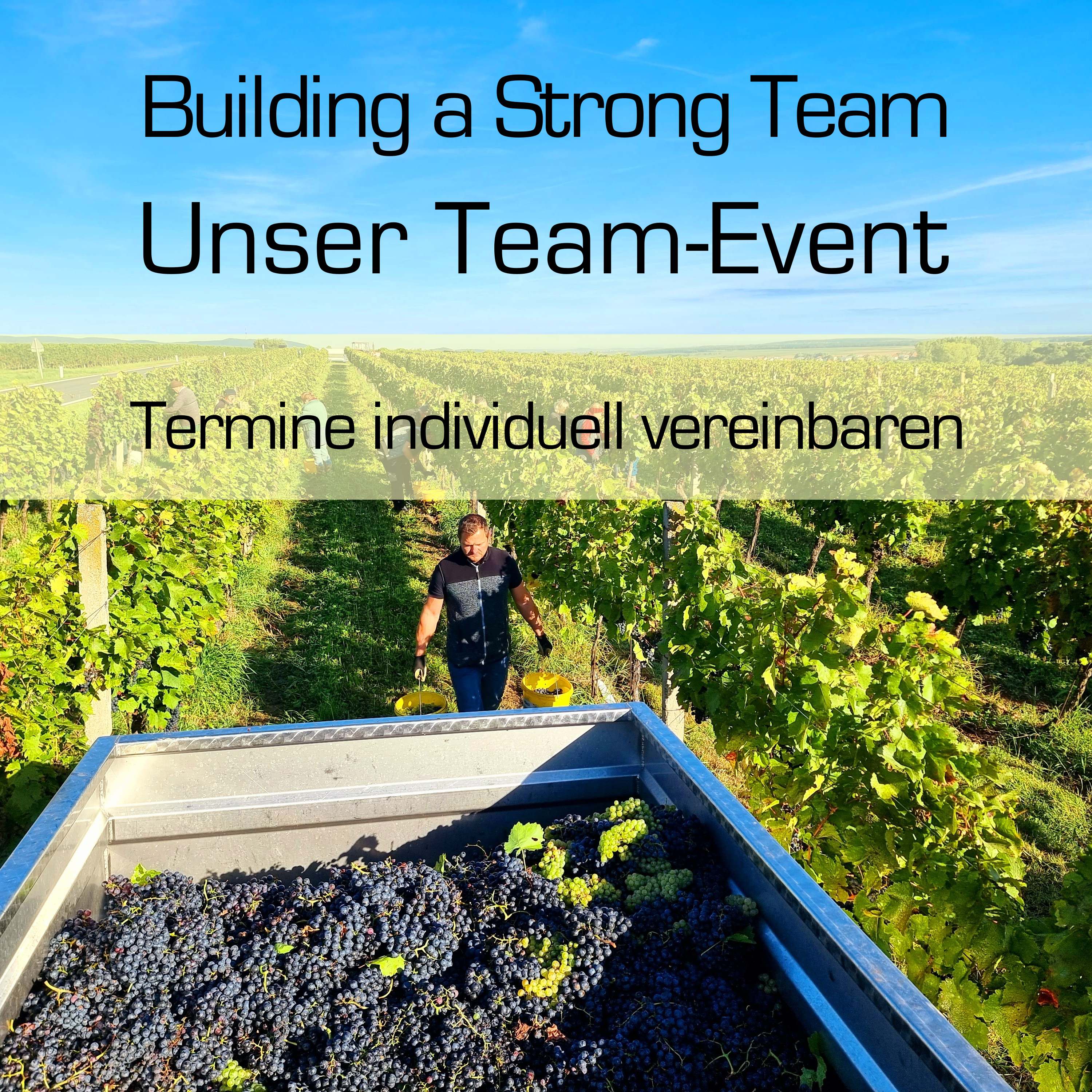 Building a strong team - unser Team-Event - Weingut Ernst