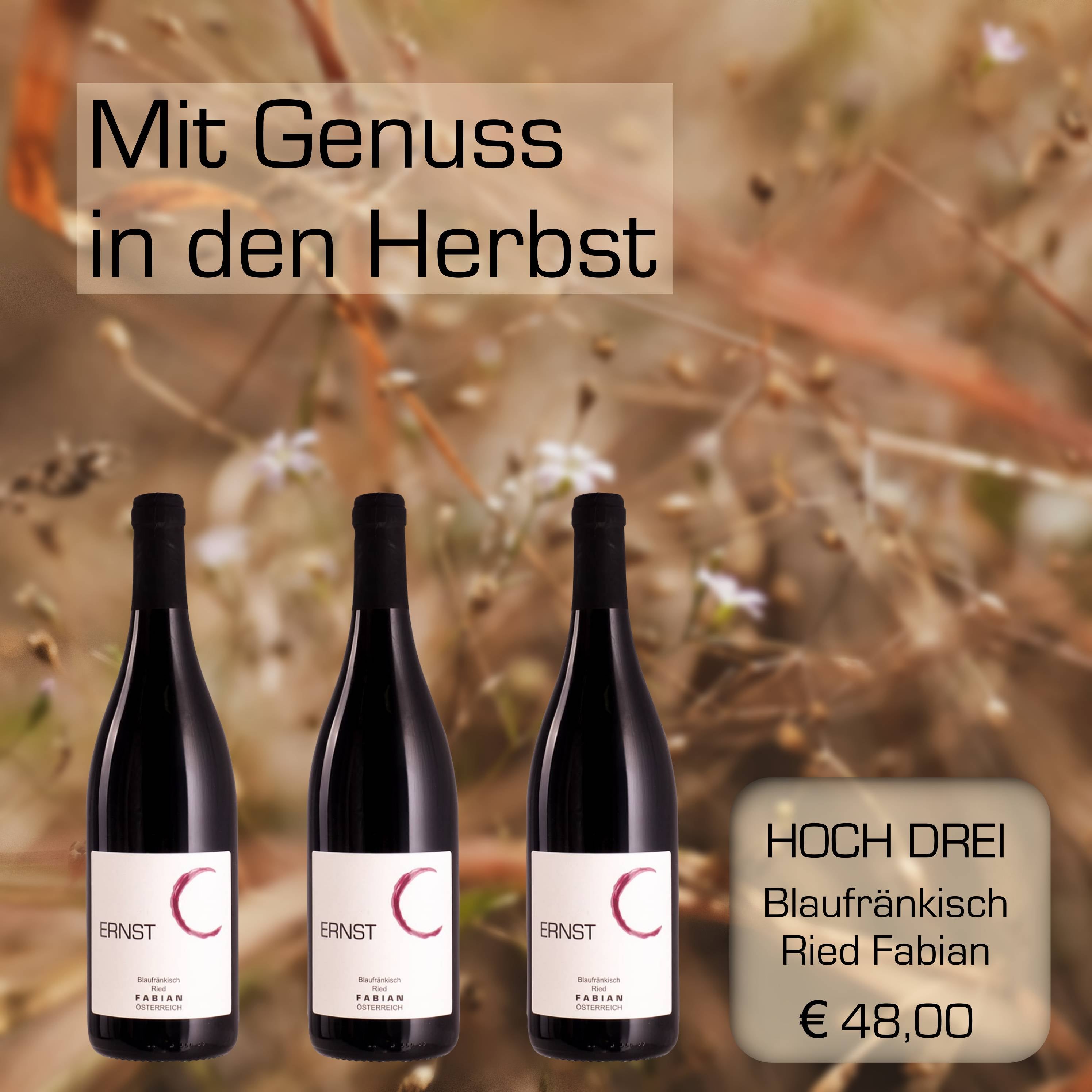 HOCH DREI Blaufränkisch Fabian - Weingut Ernst