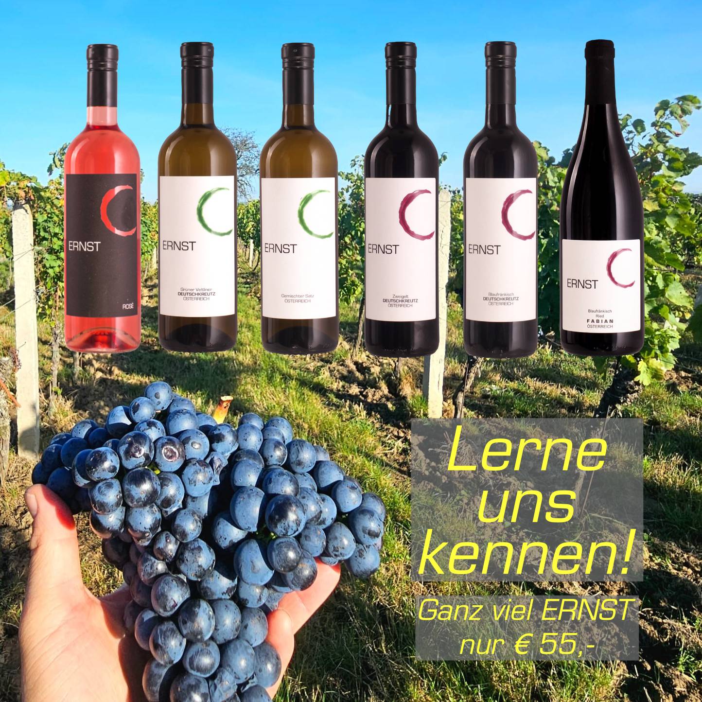 Lerne uns Kennen - Weingut Ernst
