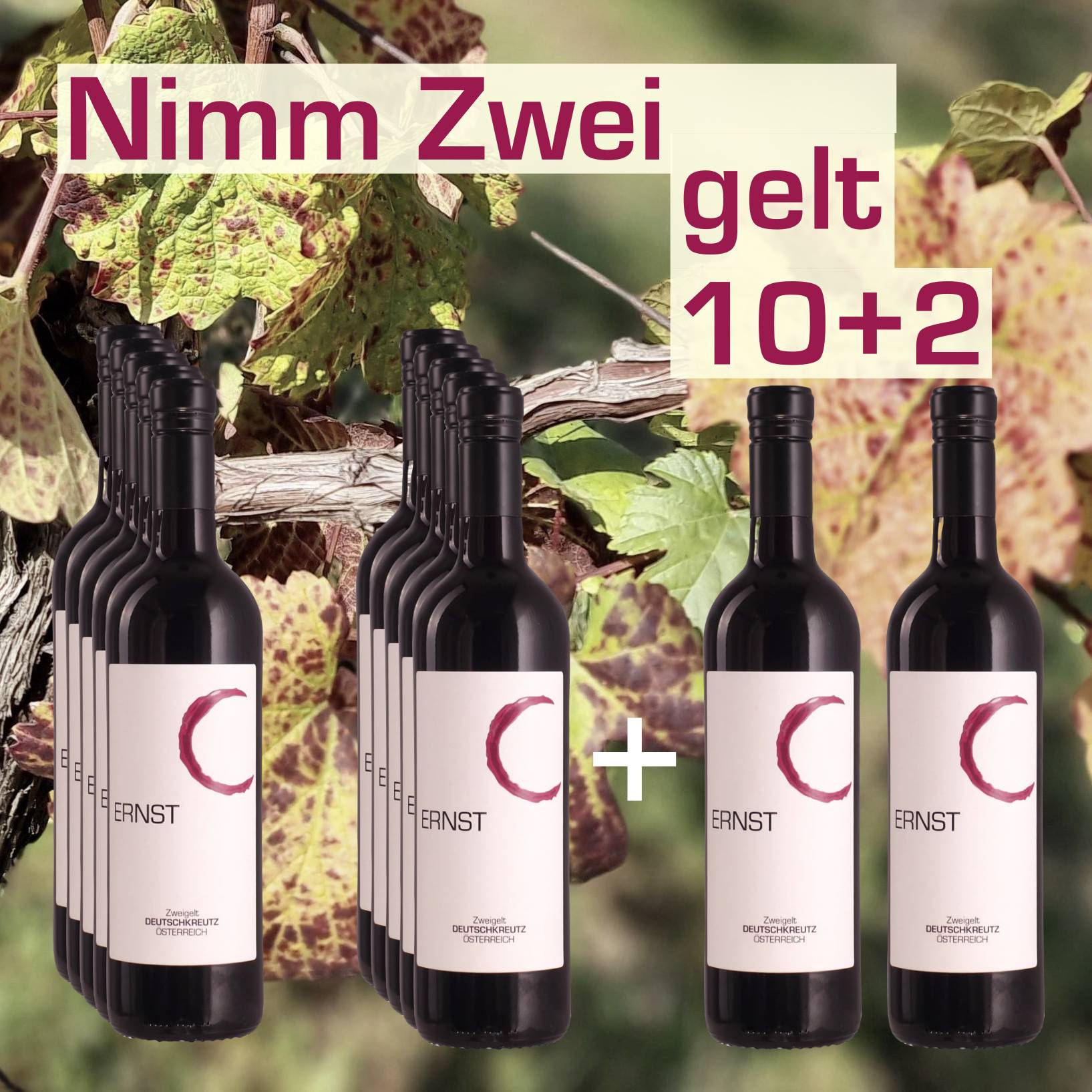 Nimm BIO Zweigelt 10+2 Gratis - Weingut Ernst